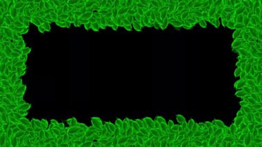 Gece arkaplanlı yeşil yapraklar çerçeve hareketi grafikleri