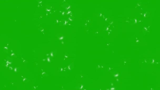 Létající Pylu Prachu Pohybové Grafiky Zeleným Pozadí Obrazovky — Stock video