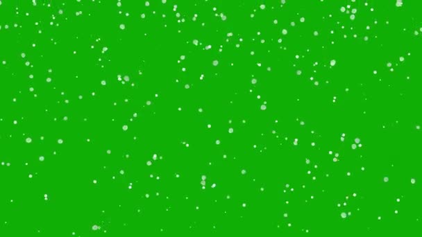 Графика Движения Снегопада Зеленым Фоном — стоковое видео