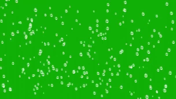 雨は緑の画面の背景と窓ガラスのモーショングラフィックスに低下します — ストック動画