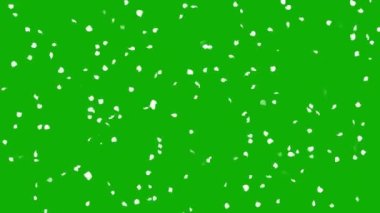 Dönen beyaz konfeti parçacıkları yeşil ekran arka planına sahip hareket grafikleri