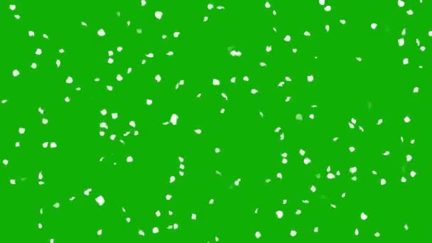 Draaiende Witte Confetti Deeltjes Beweging Graphics Met Groen Scherm Achtergrond — Stockvideo