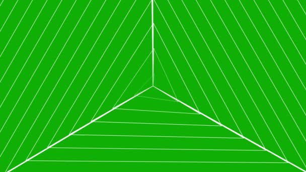 Digital Lines Pattern Motion Graphics Green Screen Background — Stock Video