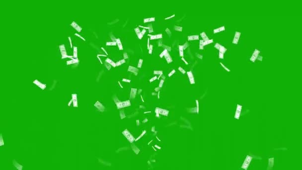Currency Notes Fountain Motion Graphics Green Screen Background — Stockvideo