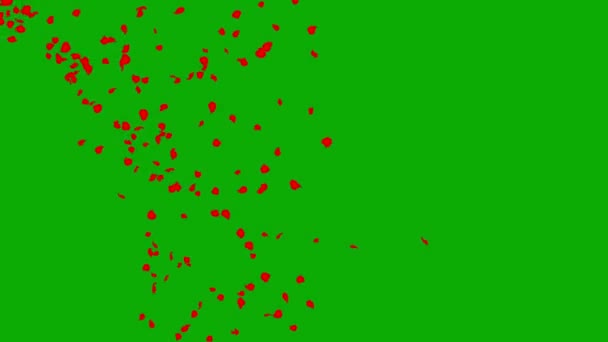 Fallende Rosenblätter Bewegungsgrafik Mit Grünem Bildschirmhintergrund — Stockvideo