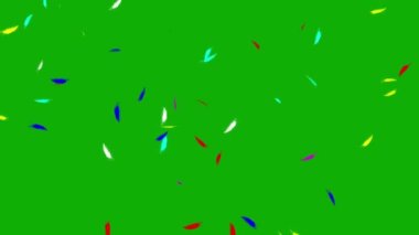 Düşen renkli tüyler yeşil ekran arka planına sahip hareket grafikleri