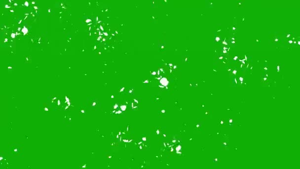 Caduta Particelle Coriandoli Movimento Grafico Con Sfondo Schermo Verde — Video Stock