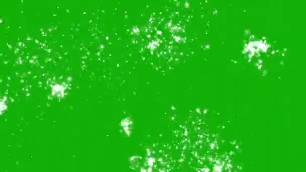 Shining Glitter Sparkles Motion Graphics Green Screen Background — Stock video