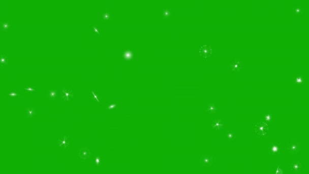 Shining Magic Sparkles Motion Graphics Green Screen Background — 비디오