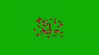 Expanding red hearts motion graphics with green screen background