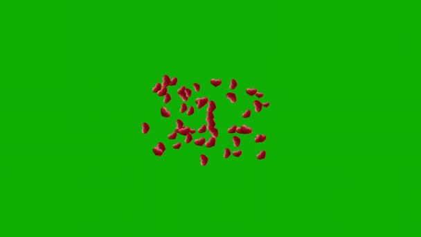 Expanding Red Hearts Motion Graphics Green Screen Background — Stock video