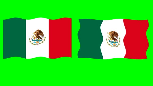Wavy Mexican Flag Motion Graphics Green Screen Background — Video Stock