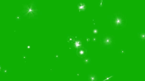 Moving Glitter Particles Motion Graphics Green Screen Background — ストック動画