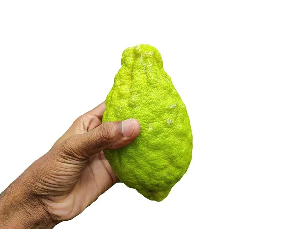 Elinde büyük boy limon meyvesi tutarken sade beyaz arka planda izole edilmiş.