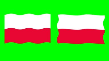 Dalgalı Polonya bayrak hareketi grafikleri yeşil ekran arkaplanı
