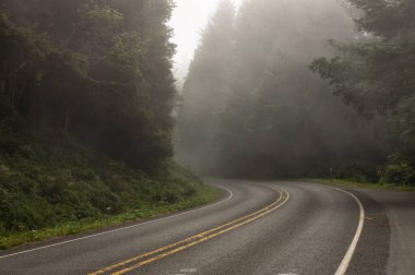 Sis, Olympic Ulusal Parkı 'ndan geçen otoyolu kaplıyor.