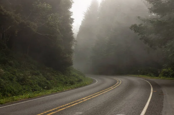 Niebla Cubre Carretera Través Del Parque Nacional Olímpico Washington —  Fotos de Stock
