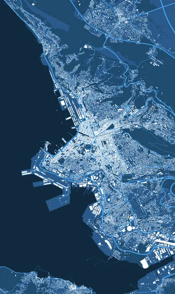 Mapa Vetorial Azul Detalhado Pôster Área Administrativa Cidade Trieste Panorama — Vetor de Stock