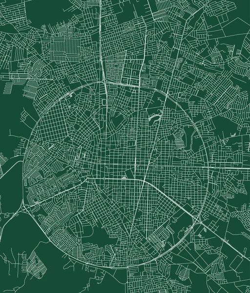 Feira Santana City Brazil Municipality Vector Map Green Street Map — Vettoriale Stock