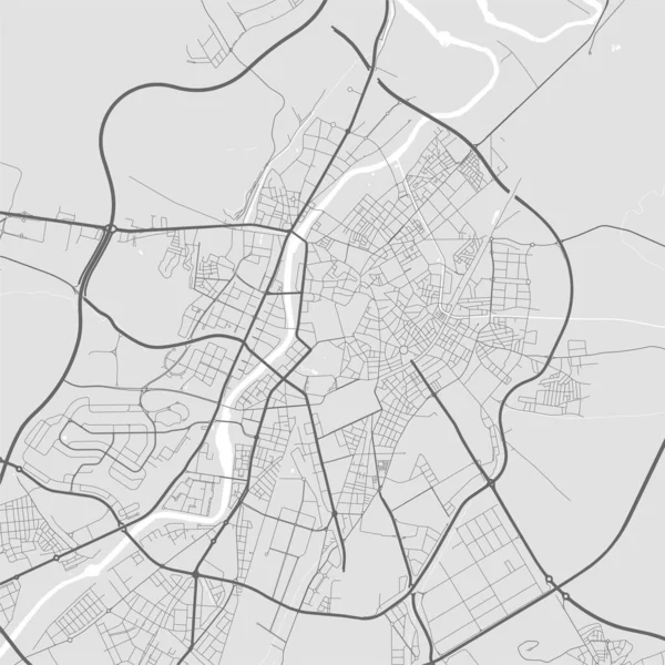 Valladolid城市地图 矢量图解 Valladolid地图灰度艺术海报 街道地图图像与道路 大都市地区景观 — 图库矢量图片