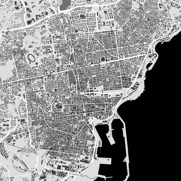 Urban City Vector Map Catania Vector Illustration Catania Map Grayscale — Stockvektor