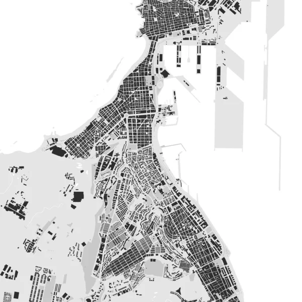 Las Palmas Gran Canaria城市地图 矢量插图 拉斯帕尔马斯地图灰度艺术海报 街道地图图像与道路 大都市地区景观 — 图库矢量图片