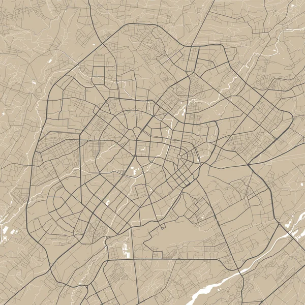 乌兹别克斯坦塔什干的矢量地图 城市道路图招贴画 塔什干地图艺术 — 图库矢量图片