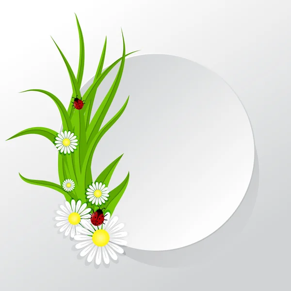 Cadre circulaire avec herbe et camomilles — Image vectorielle