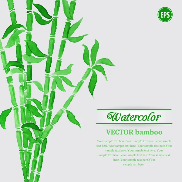 Yeşil suluboya bambu dalları — Stok Vektör