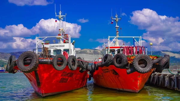 Naves Puerto Ciudad Novorossiysk Rusia — Foto de Stock
