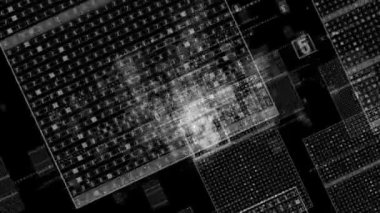 Dijital ağ sinek ile