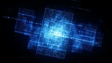 Dijital ağ sinek ile