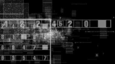 Dijital ağ sinek ile