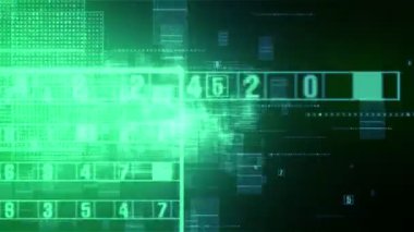 Dijital ağ sinek ile