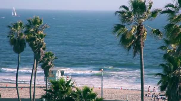 Plage de Venise - los angeles — Video