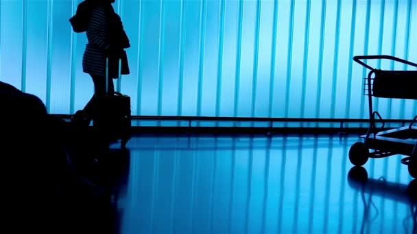 Silhouette personnes à l'aéroport — Video