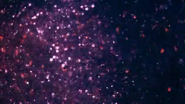 Paillettes violettes scintille — Video