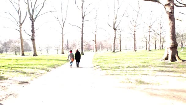Друзья гуляют по парку — стоковое видео