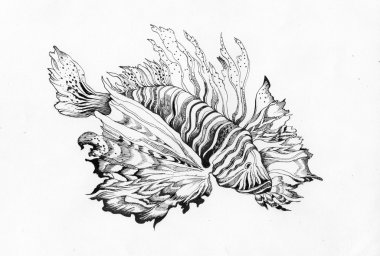 güzel balık çizimi