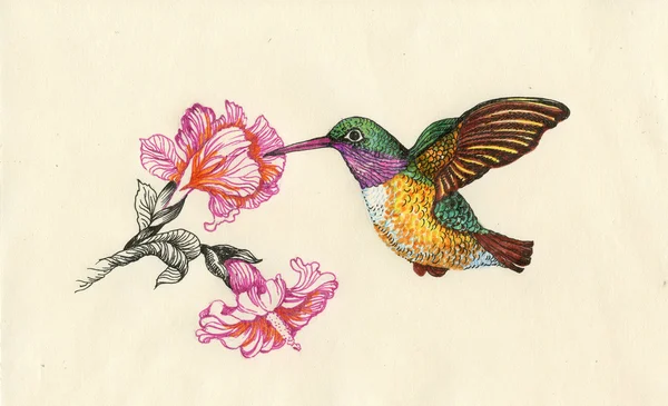 Φωτεινά πουλιά και λουλούδια — Φωτογραφία Αρχείου