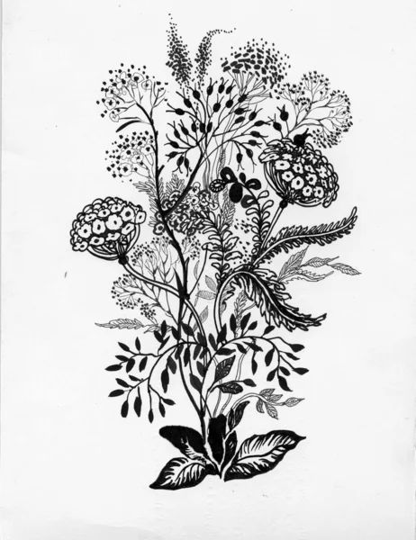 Flower sketch — Stock Photo, Image