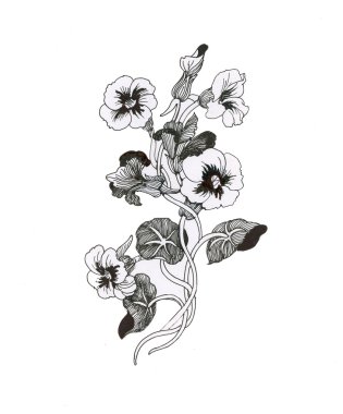 güzel boyalı çiçek kroki