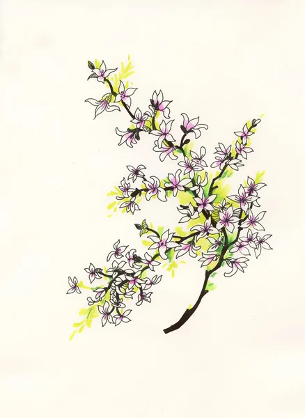 Aquarell Magnolienbaum — Stockfoto