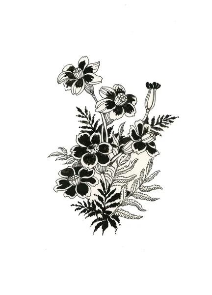 Piękny kwiat malowane szkic — Zdjęcie stockowe