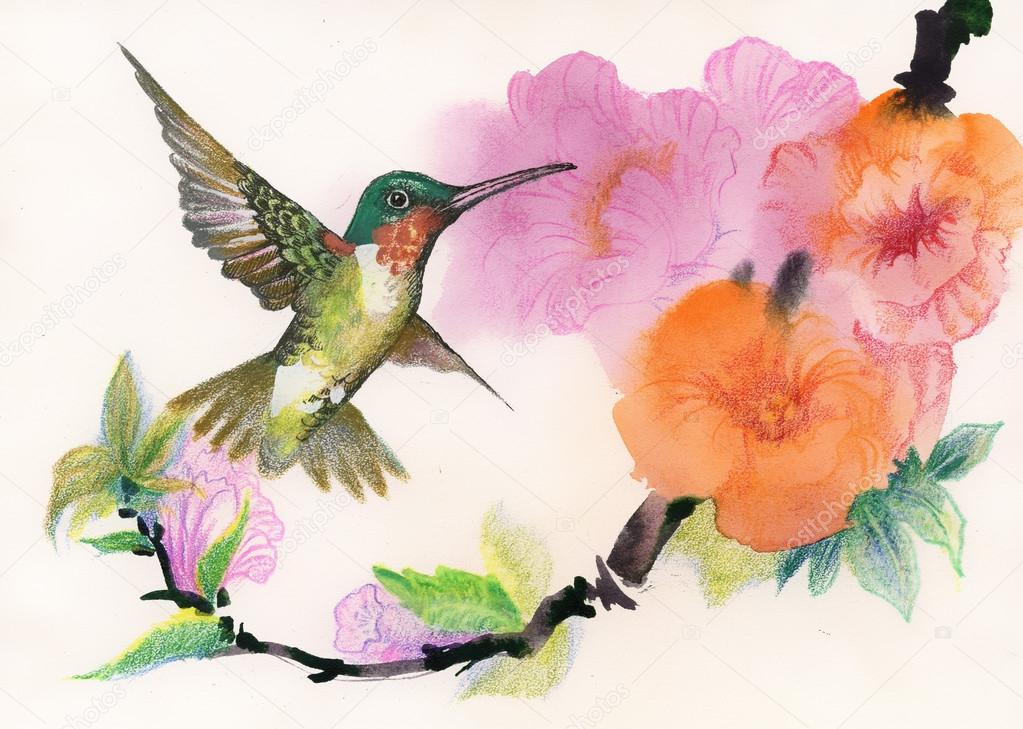 Bright birds and flowers