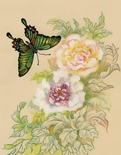 Obraz piękny motyl — Zdjęcie stockowe
