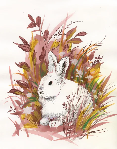 Tüylü tavşan çim oturmak. Resim — Stok fotoğraf