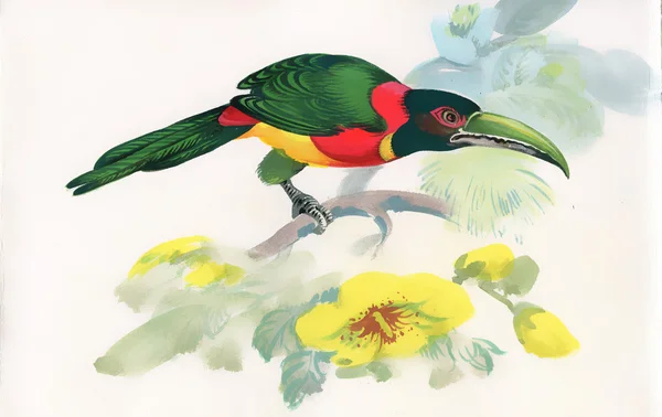 Pintura en acuarela de un pájaro sentado en una rama — Foto de Stock