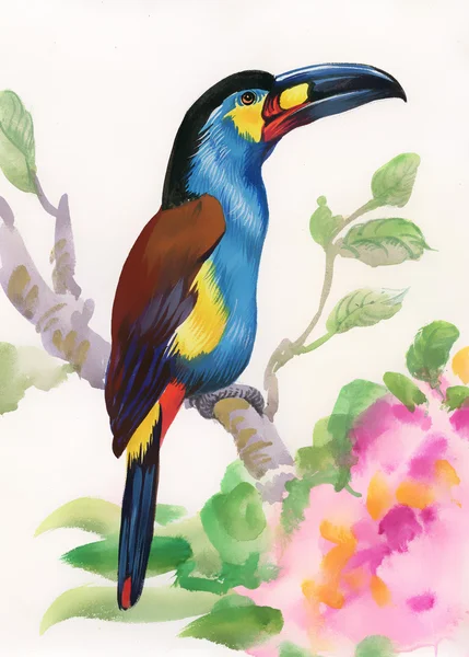 Akvarel pták sedící na větvi — Stock fotografie