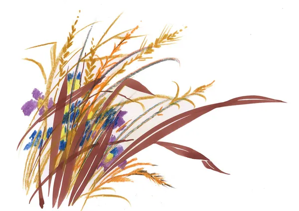手工绘制的草药 — 图库照片